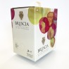 Marche Rosato IGT 3lt Biologico